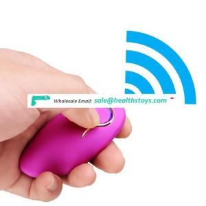 USB 10 Speed Vibrating Remote Control Sex Eggs Clitoris Stimulator Vibrator