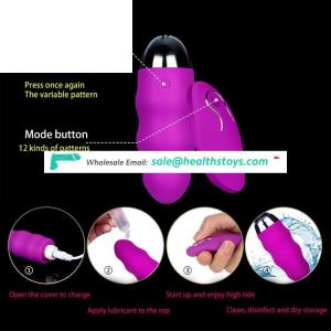 Wireless Control Charging Vibrating Egg Waterproof G Spot Vibrator Female Masturbation Sex Toys